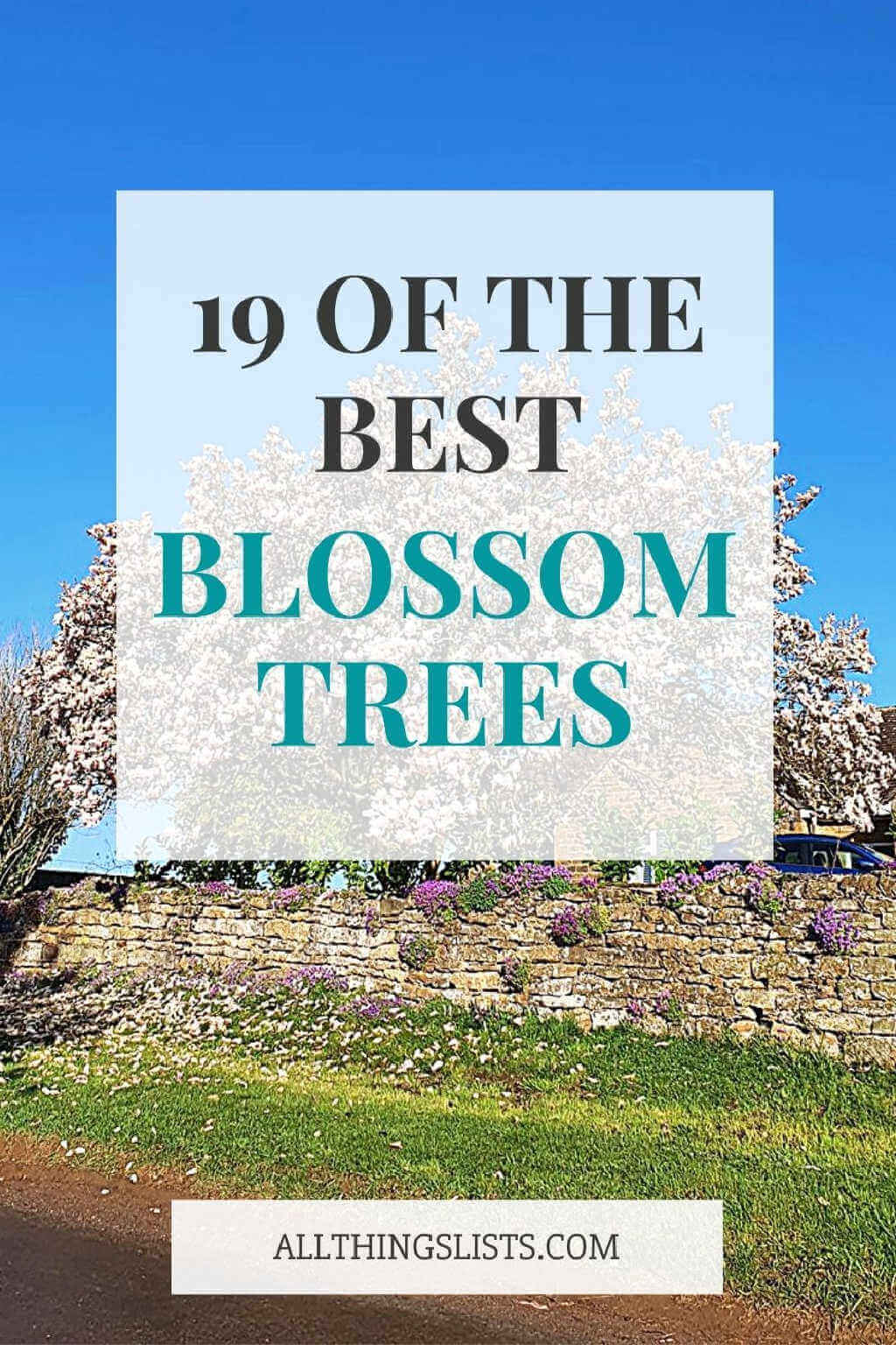 18 of the best blossom trees