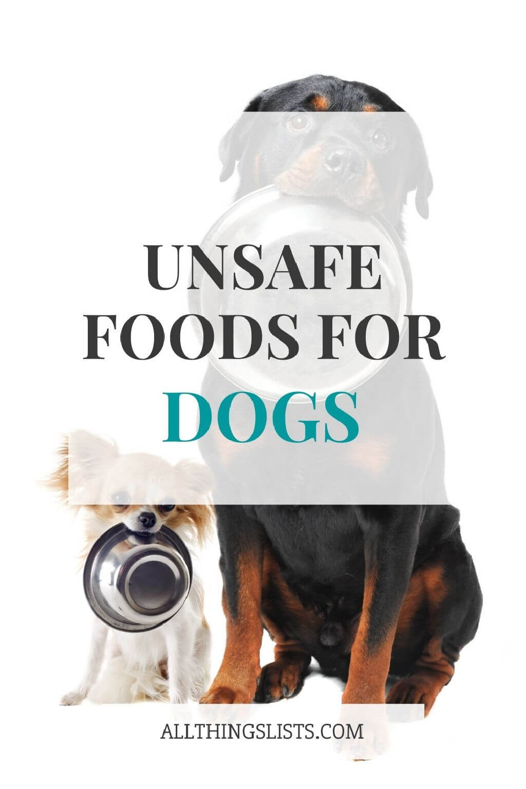 unsafe foods for dogs